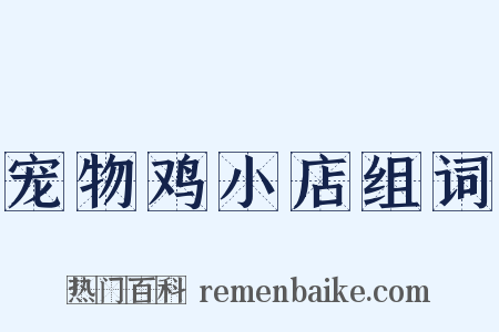 宠物鸡小店组词是什么意思的图片